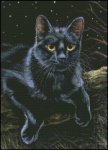 (image for) Prince of Darkness